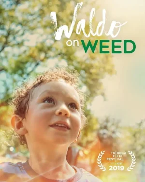 沃尔多吸大麻海报