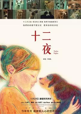 十二夜海报