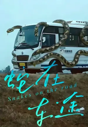 蛇在车途海报