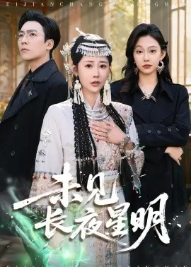 未见长夜星明海报