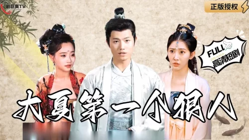 大夏第一狠人海报