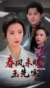 春风未暖玉先寒海报