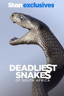 南非致命毒蛇海报