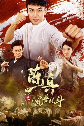 陈真之拳镇山河海报