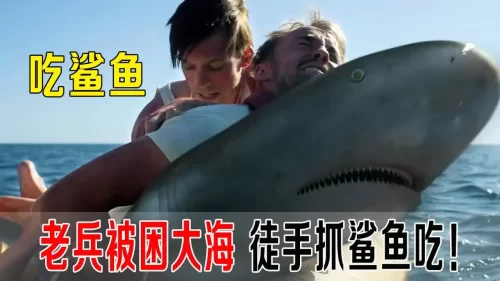 3名老兵被困大海,徒手抓鲨鱼吃,真香,源自真实事件!海报