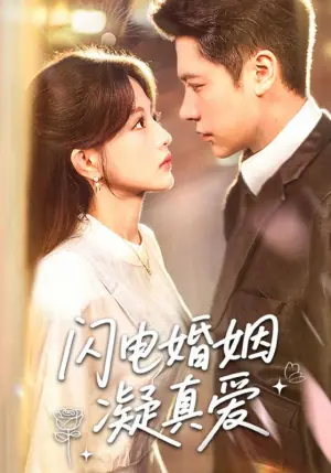 闪电婚姻凝真爱海报