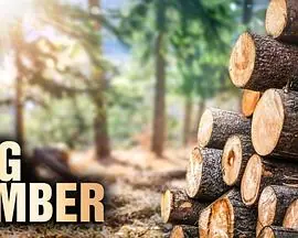 终极伐木达人第一季海报