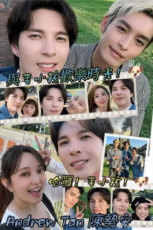 哈啰!毛小孩海报