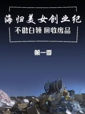 海归美女创业纪不做白领回收废品第一季海报
