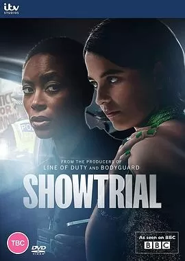 模范审判第一季海报