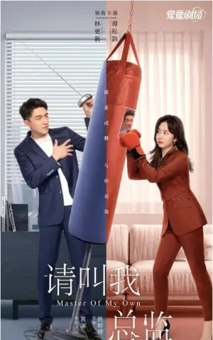 请叫我总监海报