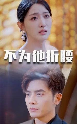 不为他折腰海报