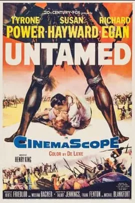 无情荒地有情天海报