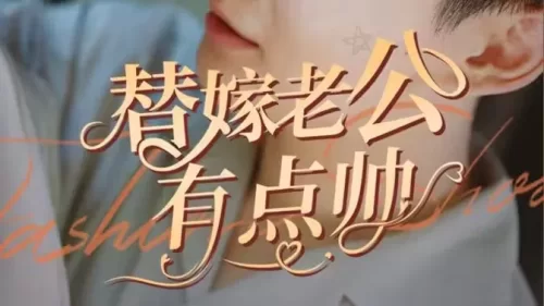 替嫁老公有点帅海报