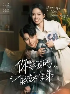 你好,我的傲娇学弟海报