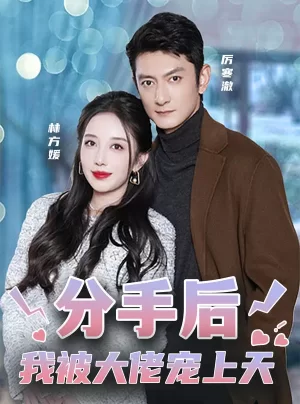 分手后,我被大佬宠上天海报