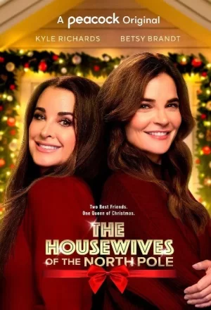 北极的家庭主妇海报