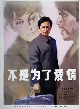 不是为了爱情海报