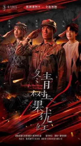 冬青树上果犹红海报