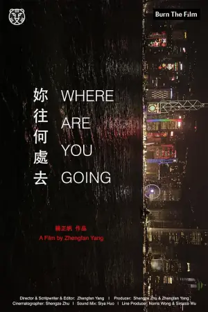 你往何处去海报
