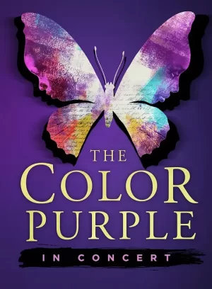 紫色姊妹花[影视解说]海报