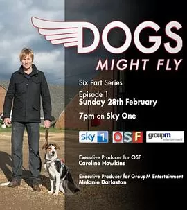 狗狗也许会飞海报