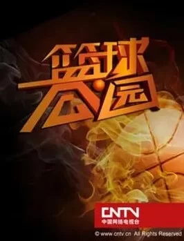 篮球公园2024海报
