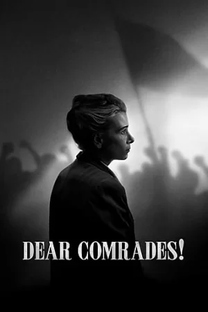DearComrades!海报
