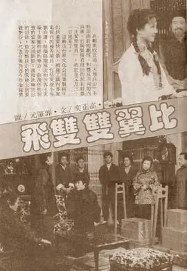 比翼双双飞海报