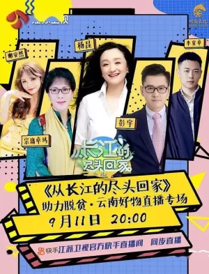 从长江的尽头回家海报
