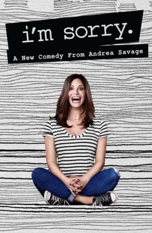 对不起第一季海报