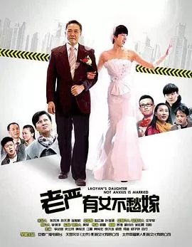 老严有女不愁嫁海报