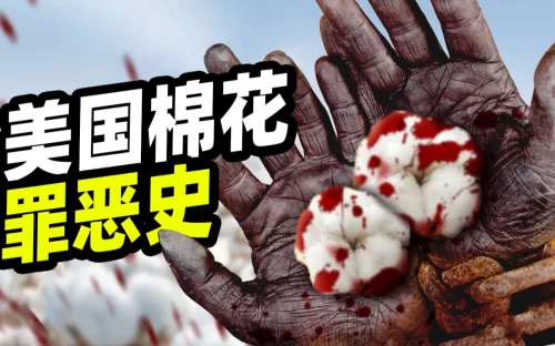 [扁豆]美利坚百年前造下的孽!300万黑奴血泪史!<为奴十二年>海报