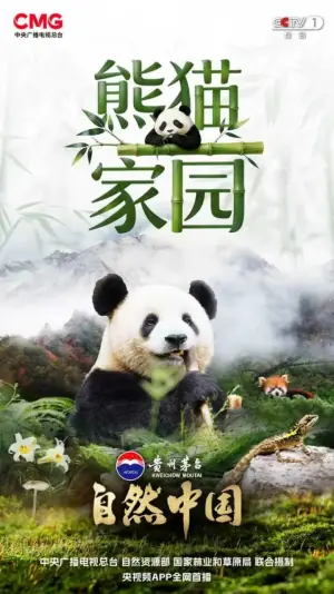 熊猫家园海报