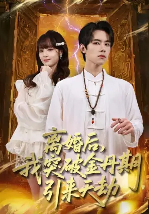 离婚后,我突破金丹期,引来天劫海报