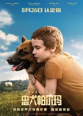 忠犬帕尔玛(国语)海报