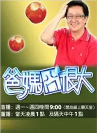 爸妈囧很大海报