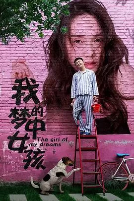 我的梦中女孩海报