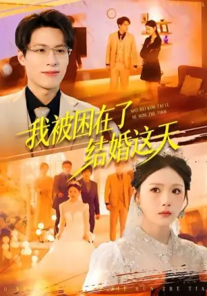 我被困在了结婚这天海报