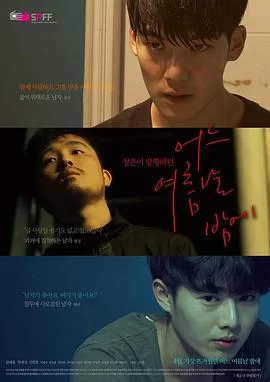 一个夏夜[电影解说]海报