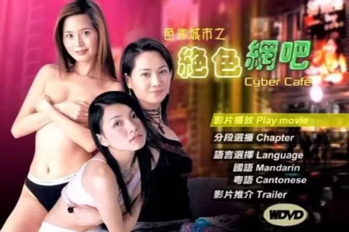 色欲城市之绝色网吧海报