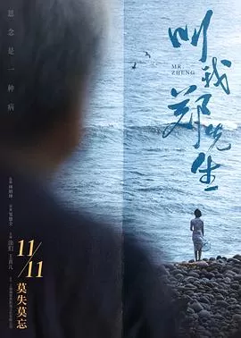 叫我郑先生海报