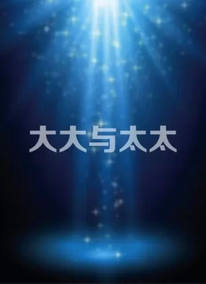 大大与太太海报