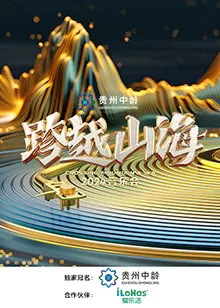跨越山海2024音乐会海报
