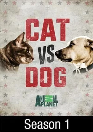 猫狗大战2017海报