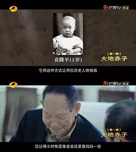 杂交水稻之父袁隆平海报