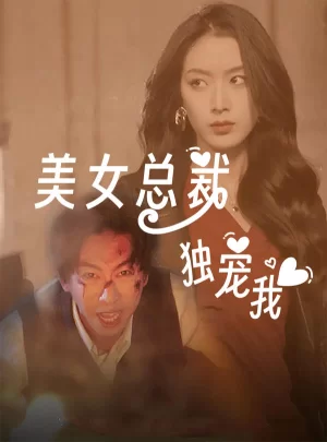 美女总裁独宠我海报