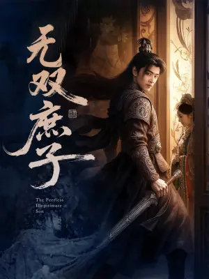 无双庶子海报