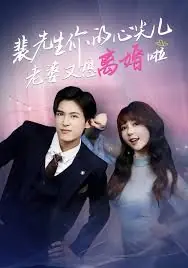 裴先生你的心尖儿老婆又想离婚啦,裴先生的复婚攻略海报