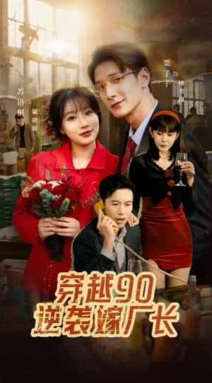 穿越90赖上冷傲厂长海报